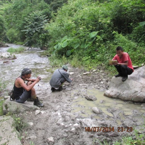 Kikukimtsu-Musuhkimtoh