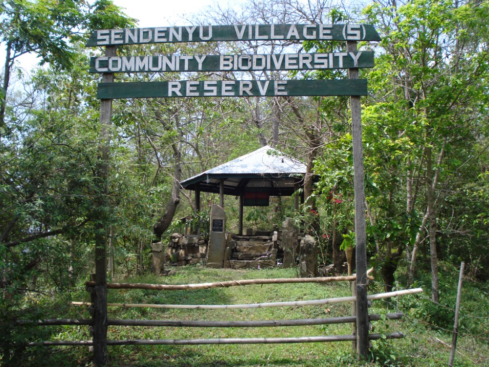 Base Camp Sendenyu Community Biodiversity & Wildlife Conservation Reserve